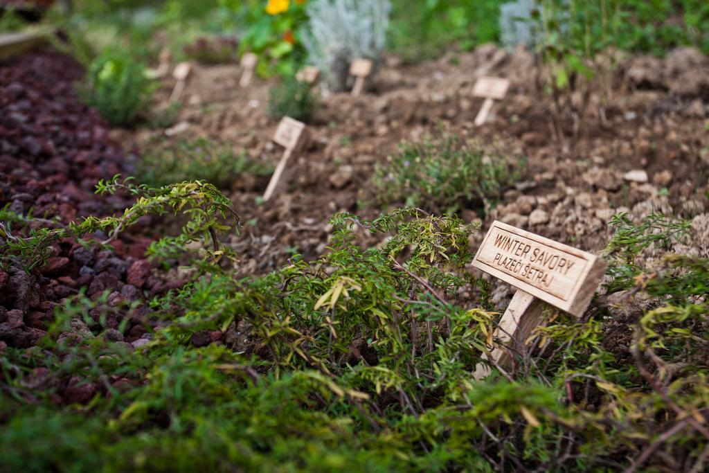 Herbal Glamping Resort Ljubno Exteriér fotografie